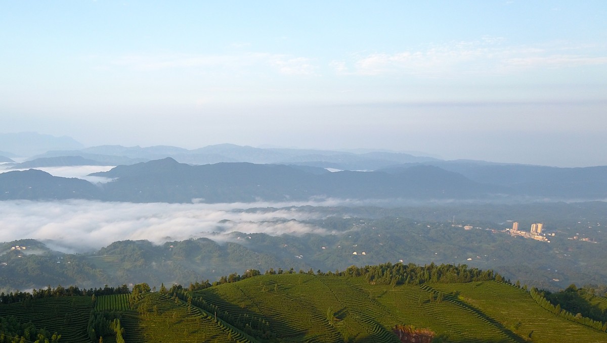 (普照山风景区俯瞰打古镇)兴莲桫椤仅是纳溪区普照山风景区桫椤峡谷