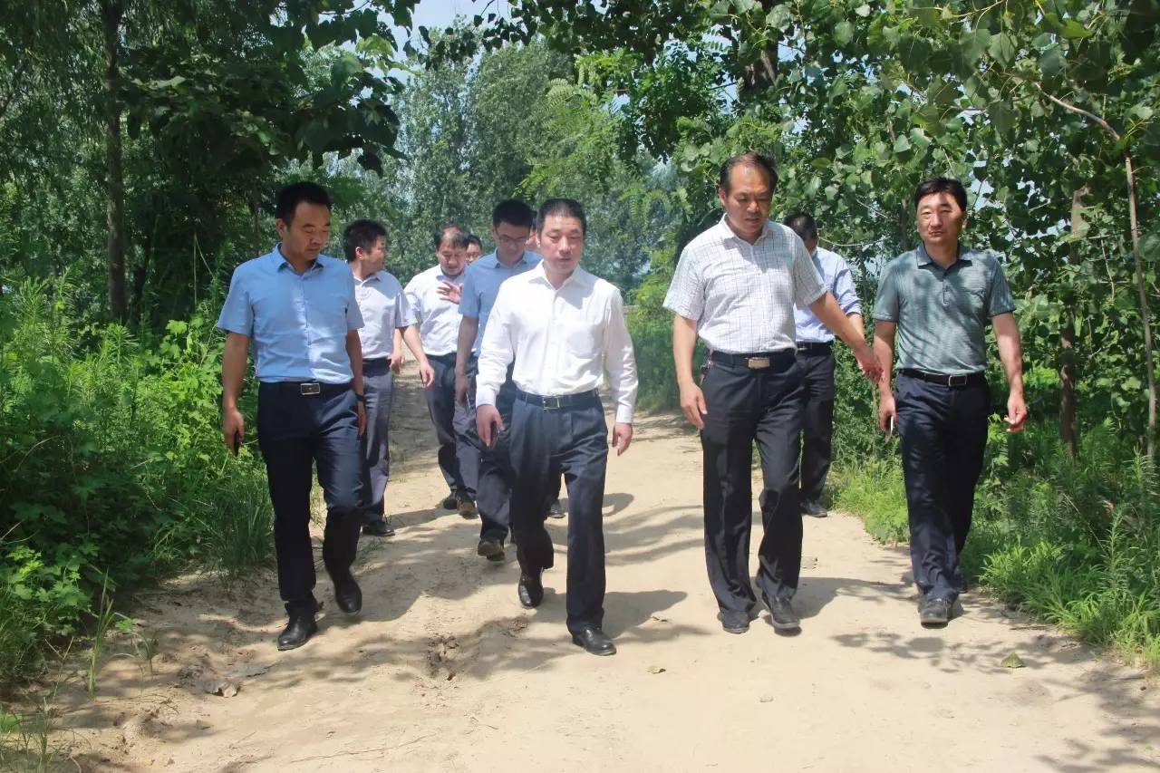 副区长杨光磊带领建业集团考察调研两河湾湿地公园及特色小镇规划建设