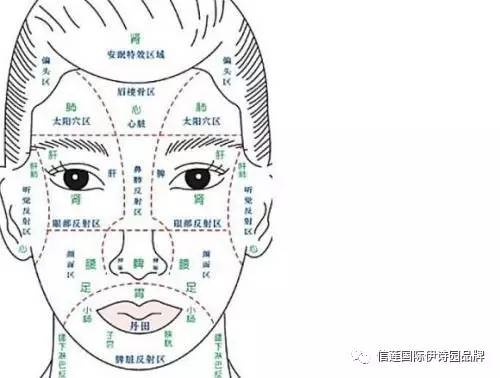 面部长斑的反射区图片图片