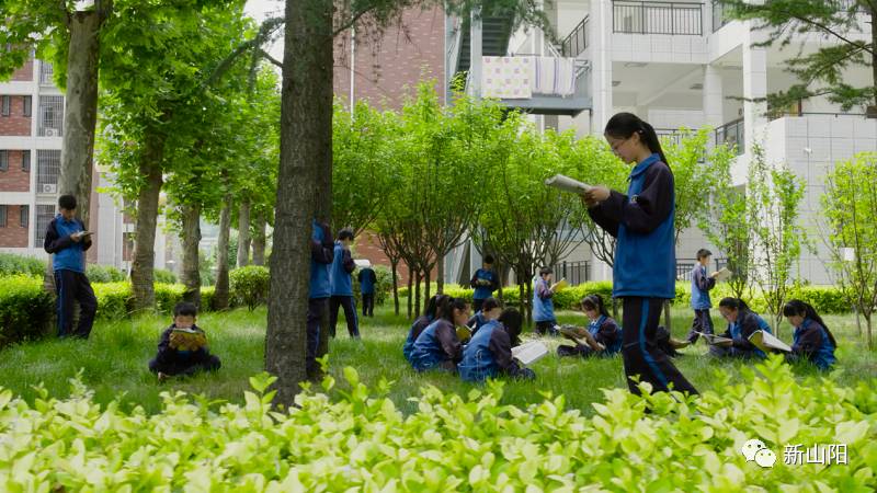 山阳县城区三中图片