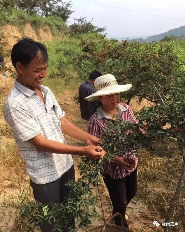 荥经杨东红图片