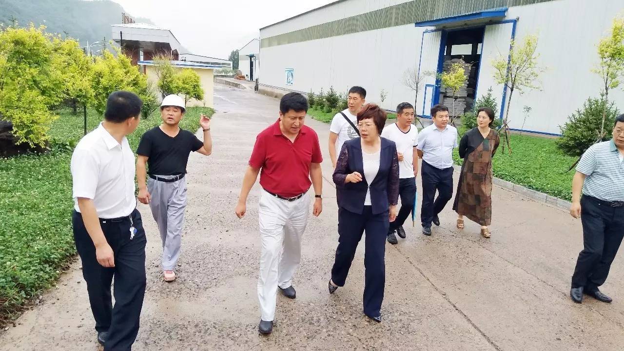 要闻吉林省发改委到临江市实地踏察特色示范城镇