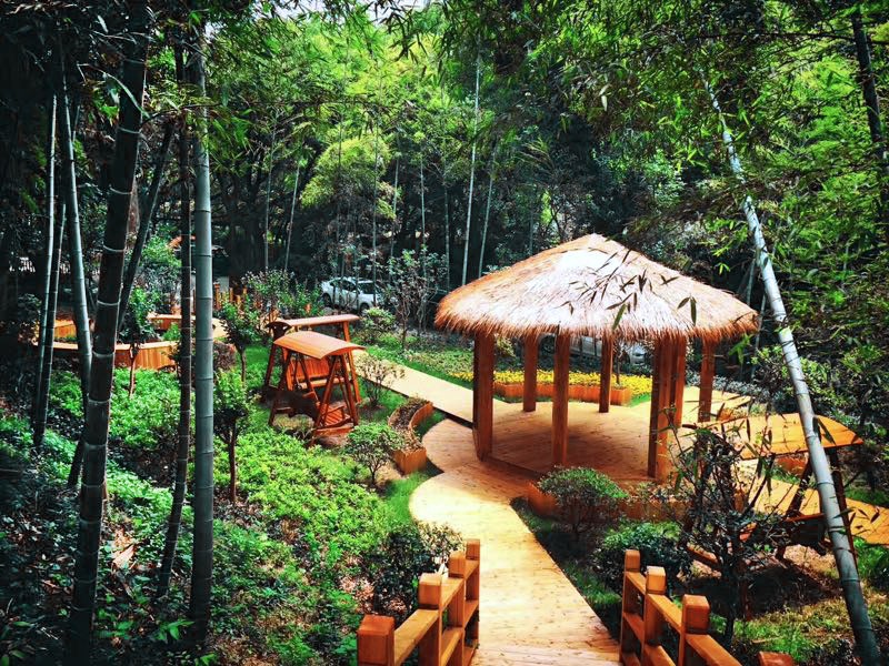 是淡雅,是余香邻松而坐,以茶会友在森林宾馆的竹林深处,有一避世小院