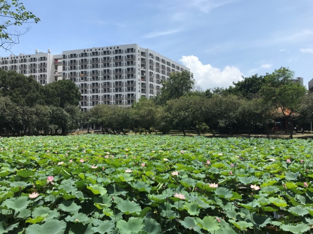 伍舜德先生与好友黄炳礼,黄浩川,黄乾享,黄乾利等人一起,为五邑大学兴