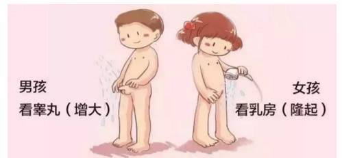 2岁开始发育,以女孩乳房,男孩睾丸开始发育为标志