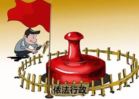 市政府和市政府办党组的坚强领导下,以推进依法行政,建设法治政府为