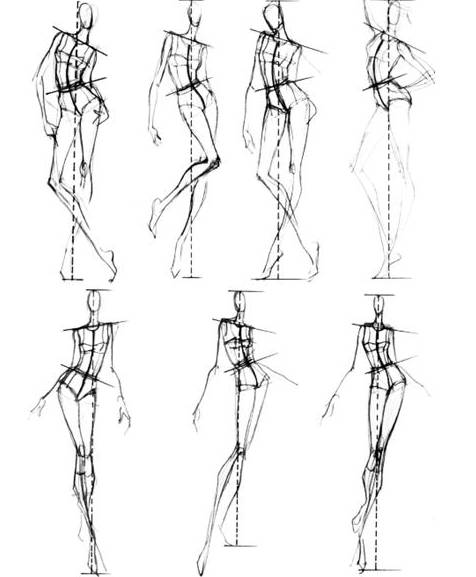 想畫好時裝效果圖,人體結構怎麼可能搞不清楚呢!
