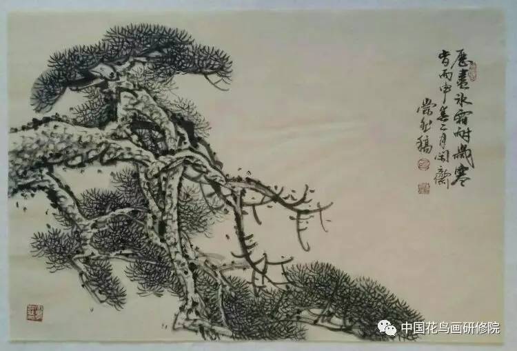 白崇然画松图片