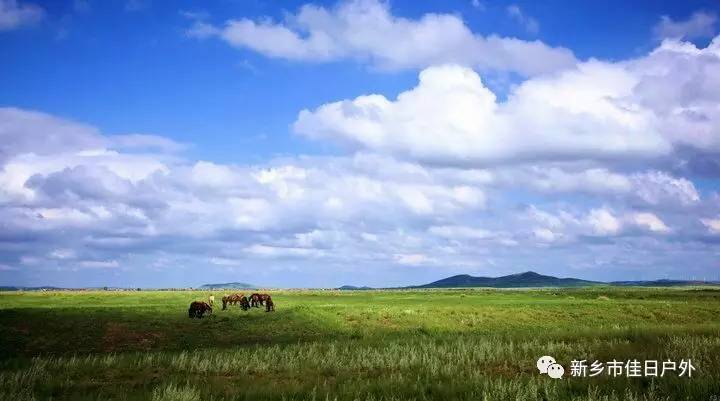 【佳日户外】去看中国最美的草原!