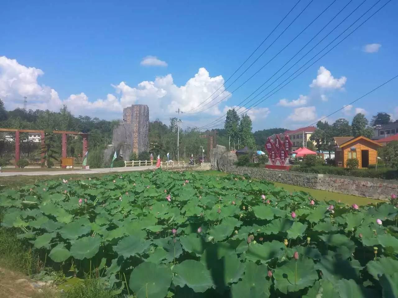 苗鄉行貴州線第二日,看各大園林企業如何在遵義打造特色景區