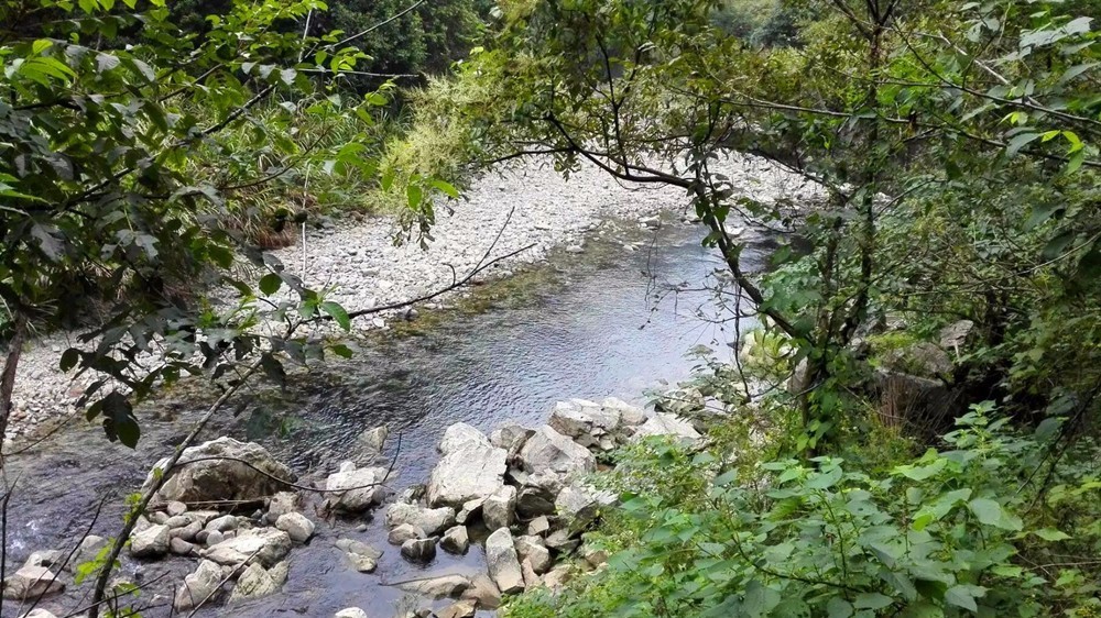 华山村夫:我始终是个乡下人