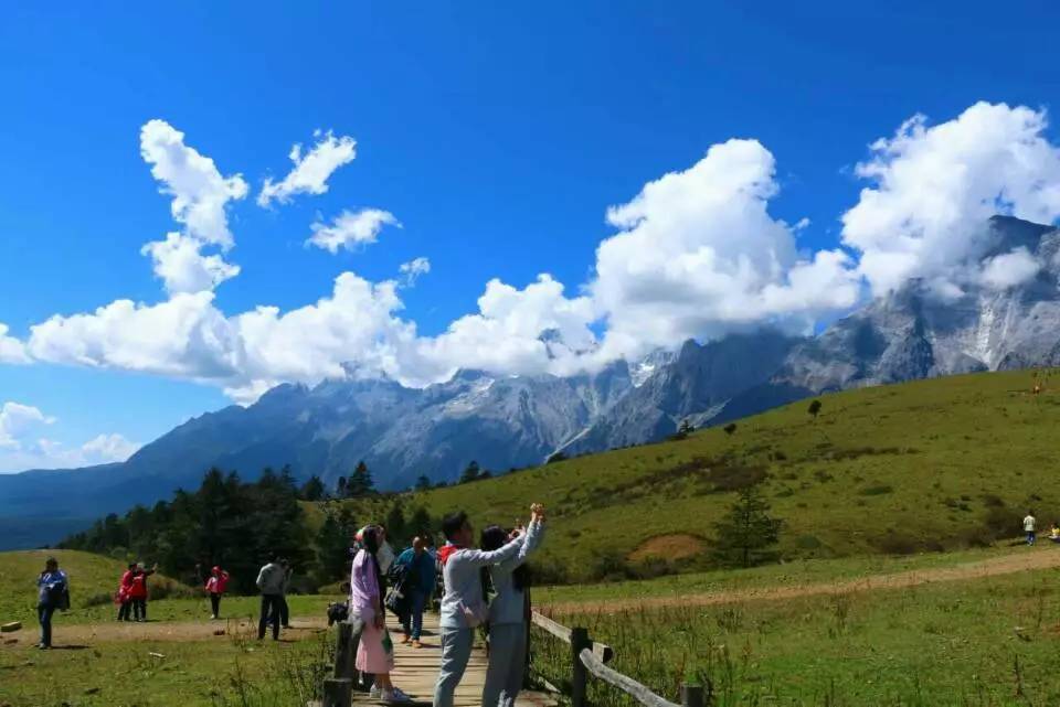 什麼?麗江旅遊集團預訂中心即將推出雲杉坪,犛牛坪神秘產品?