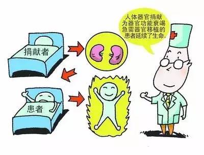 器官移植宣传图片图片