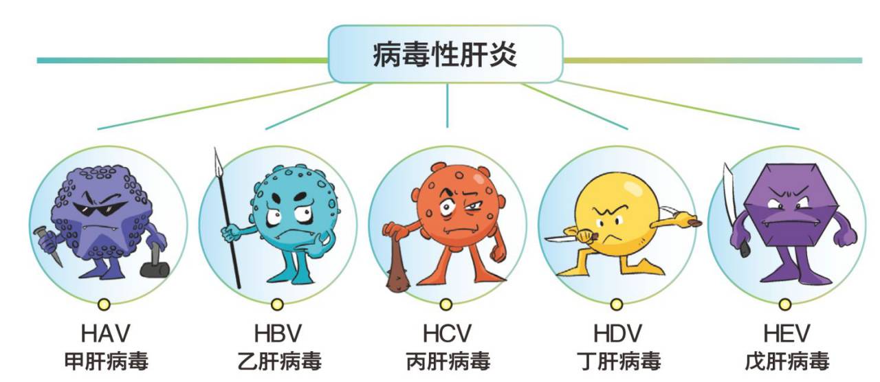 乙肝传播途径饮食传播_乙肝可以通过饮食传播吗 舞阳县第一高级中学