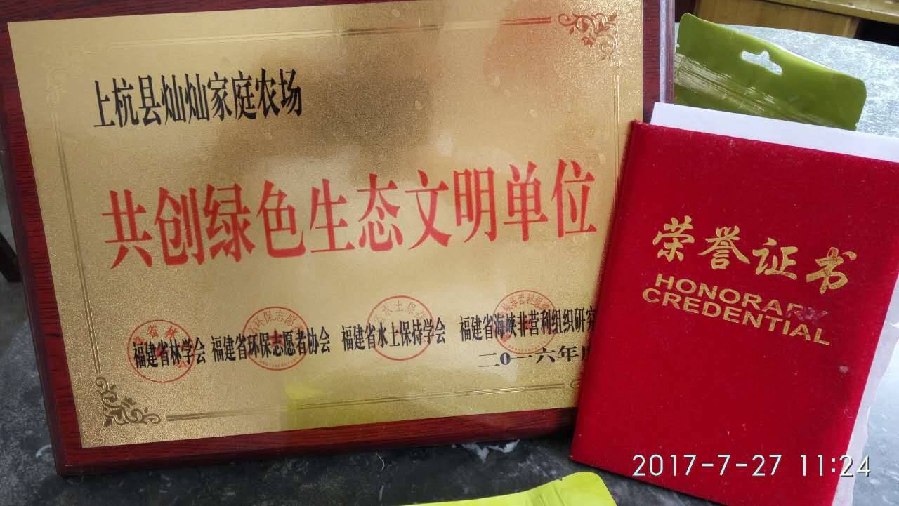 帶你去看看舊縣家庭農場特色生態農業——絞股藍