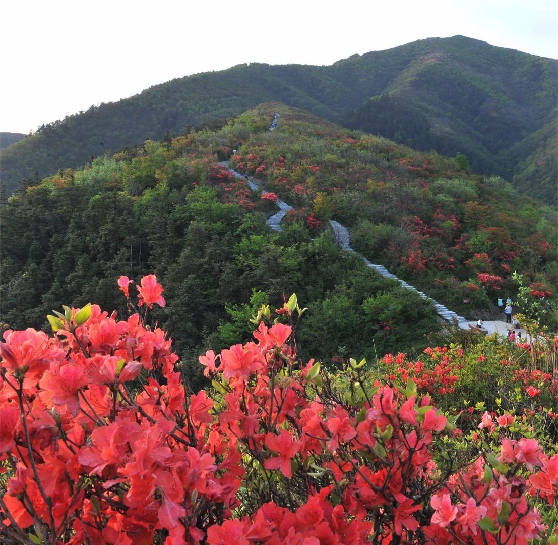 红枫避暑山庄 红枫避暑山庄(大熊山农家乐6号楼 坐落在新化大熊山