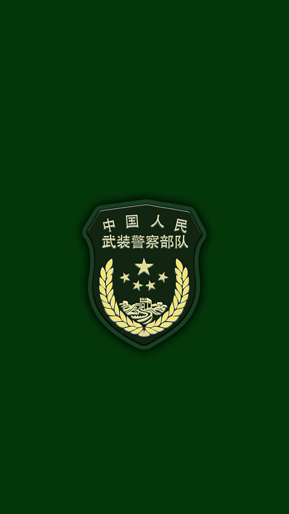 纯色军事壁纸,包含解放军陆海空,火箭军,武警部队以及战略支援部队!