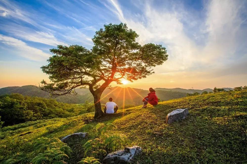 新景師宗奇觀大地雲南師宗國際攝影大賽獲獎公告