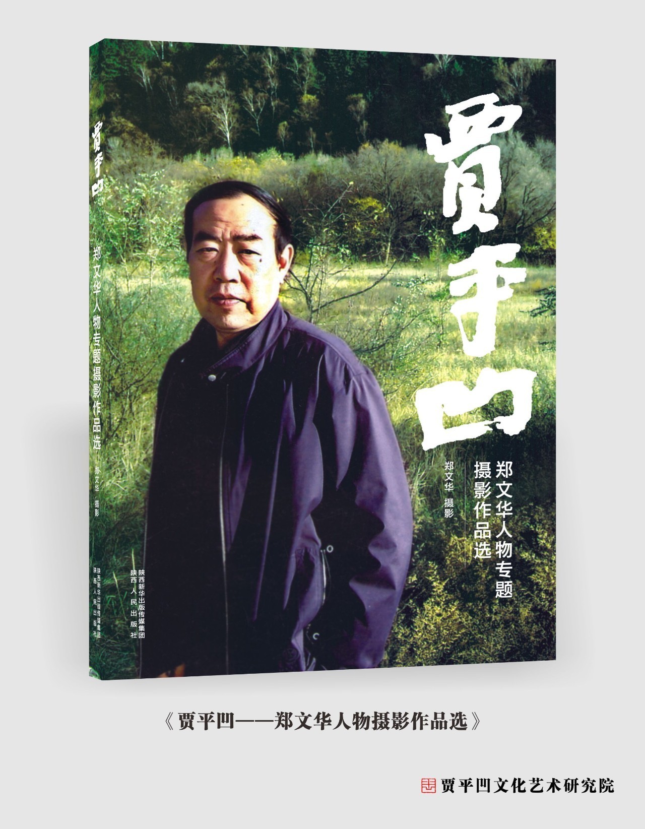 中國好書no13賈平凹文化藝術研究院獨家首發賈平凹文學人生作品系列