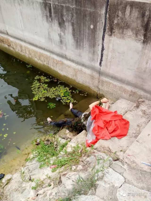 【视频 图】昨天,蒙城涡河支流水域打捞出一具女尸
