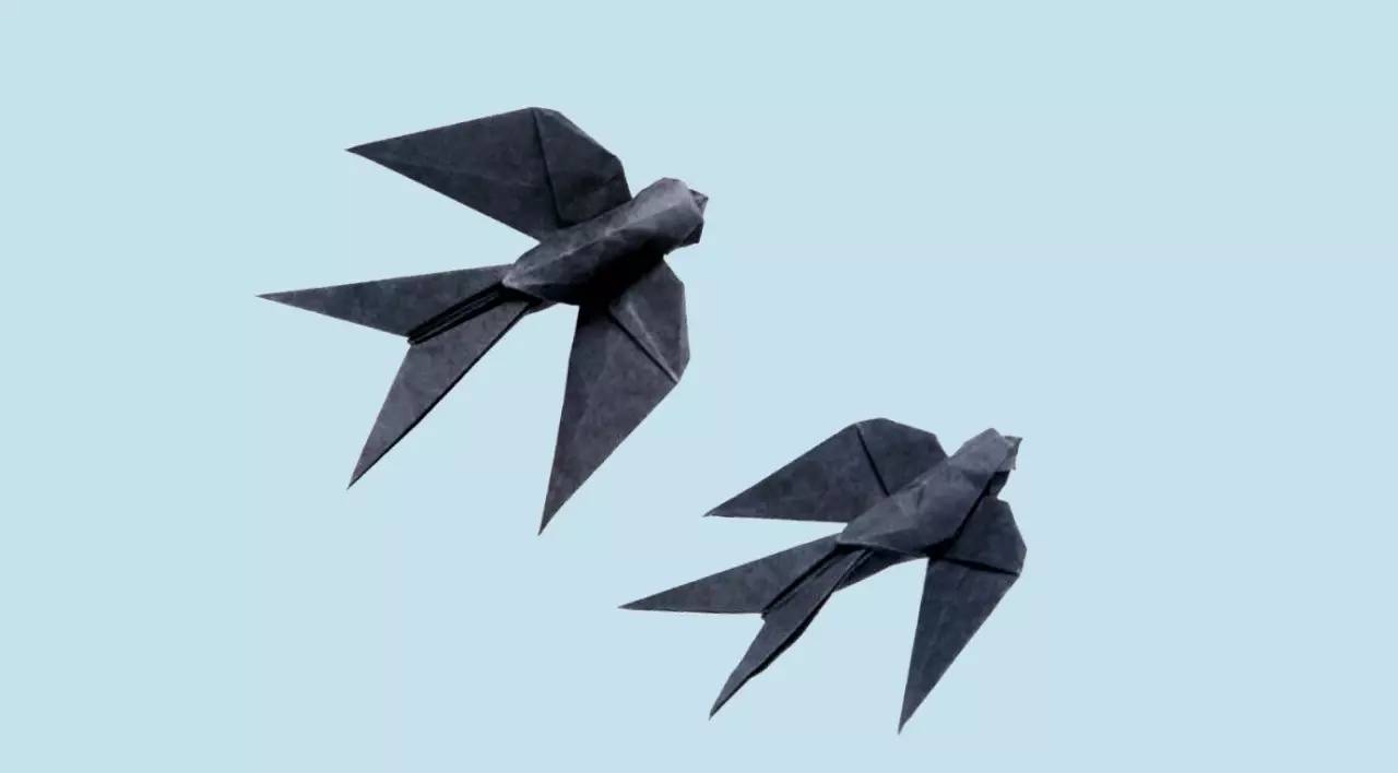 'ω)今天来折一只燕子,话说折纸的燕子长相都差不多啊,发之前我又