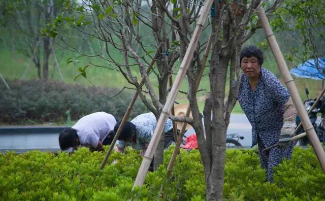 悠閒自在的山城金寨人