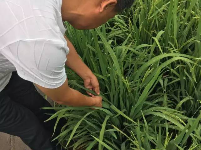 新闻随手拍一周工作日常