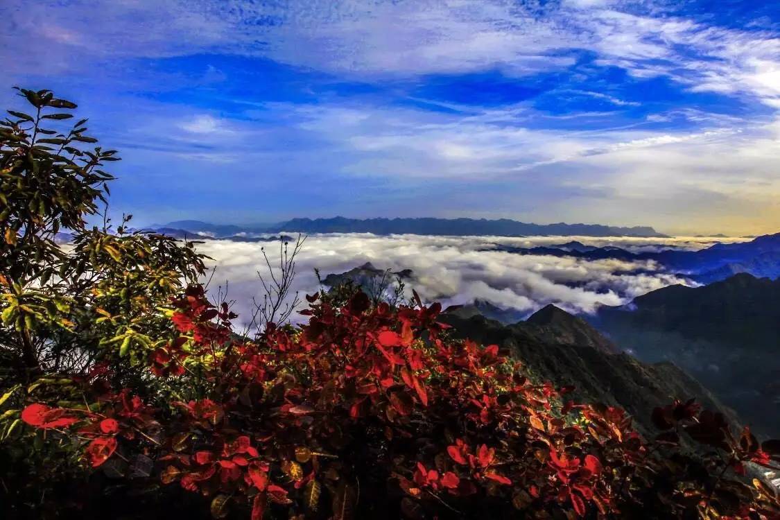 是安康市白河縣首個國家aaa級旅遊風景區,位於白河縣中廠鎮境內