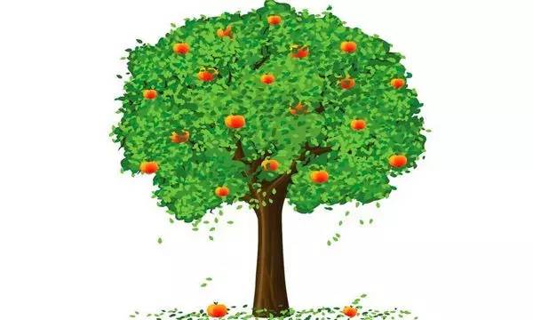三,成长的寓言:做一棵永远成长的苹果树一棵苹果树,终于结果了.