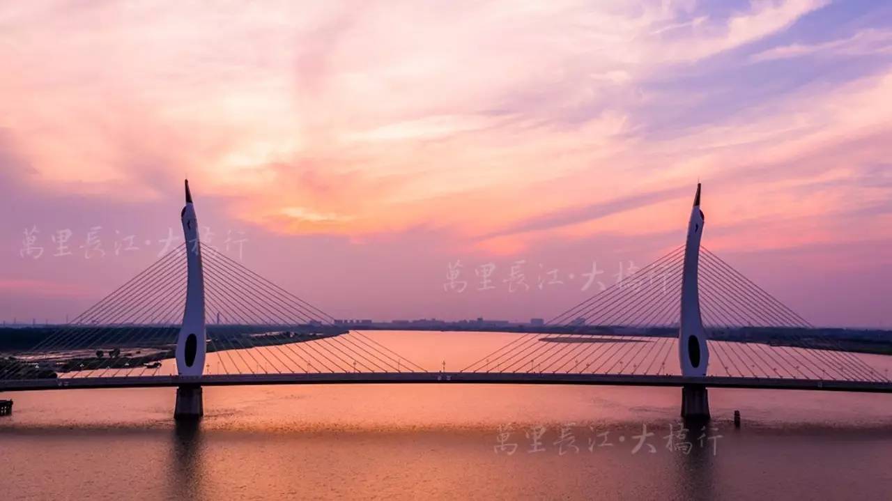 长青沙大桥图片