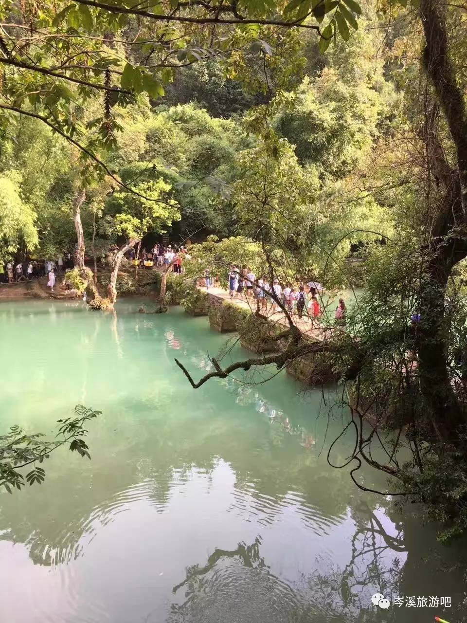 純玩0自費黃果樹鎮遠古鎮青龍洞西江小七孔五日遊