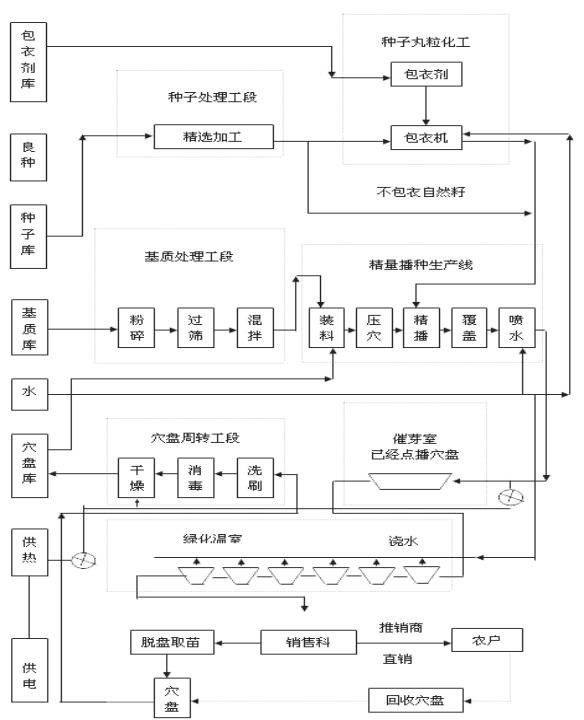 【作物栽培】蔬菜育苗技术详解(完全版)