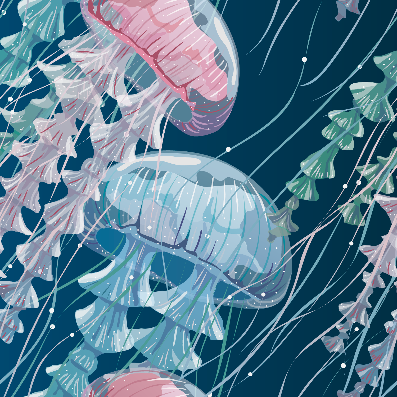 插画欣赏丨一组可爱的水母插画