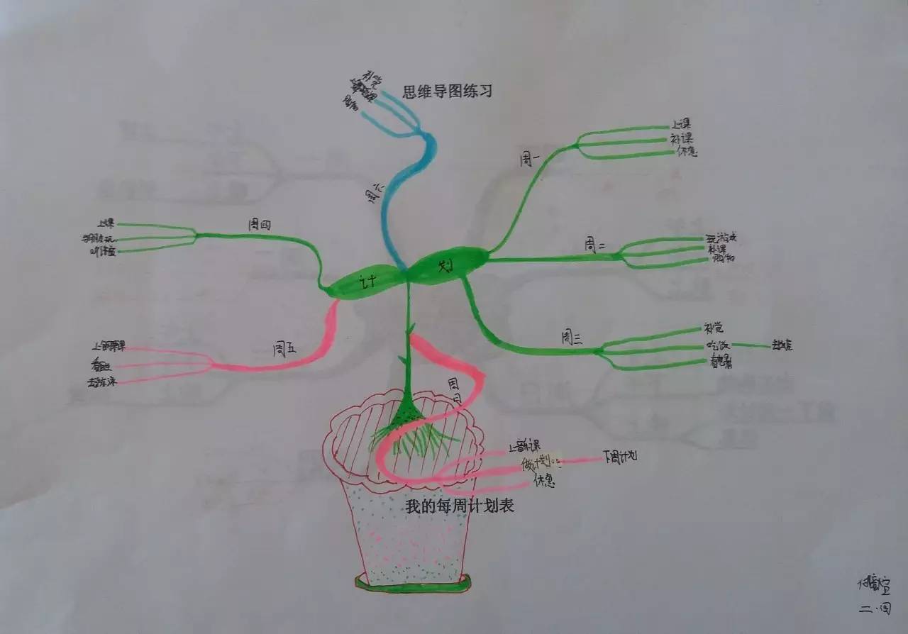 思路很清晰,植物經絡完整!完成的很棒!構圖很狂野呀!很棒吧!