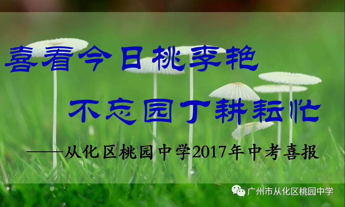 感謝師恩的唯美句子簡短精辟_銘記師恩 感謝師恩ppt_感謝師恩的唯美句子