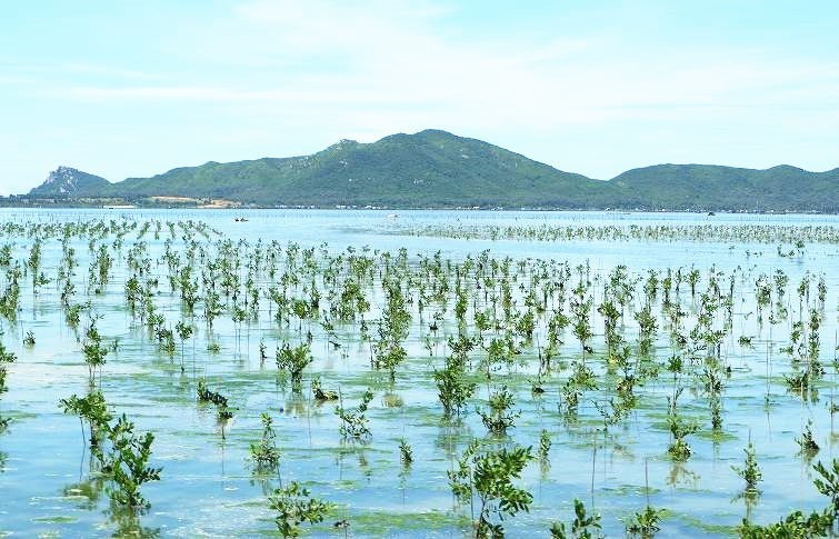 陵水61印象桐海村