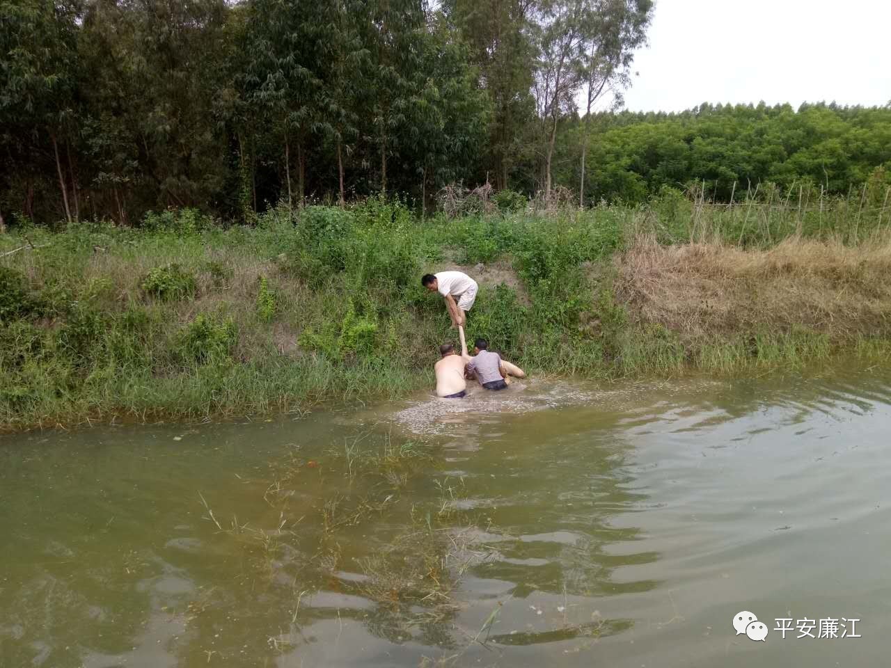 廉江雅塘捞飞图片