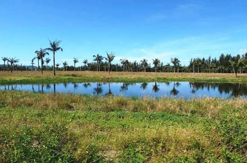 陵水61印象桐海村