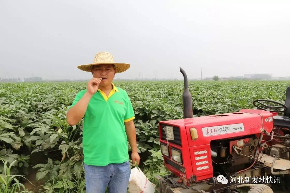 关于新发地十大王都有谁的信息