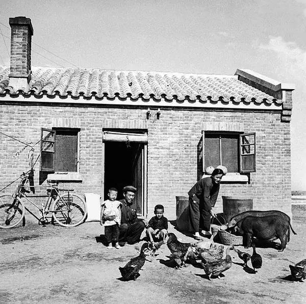 50年代的农村生活图片图片