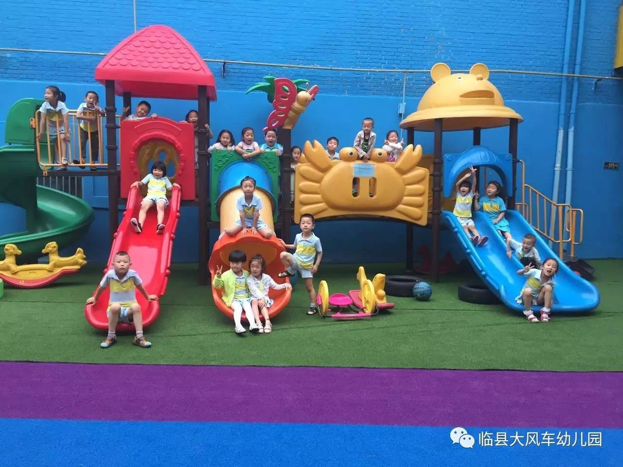 上海大风车幼儿园图片