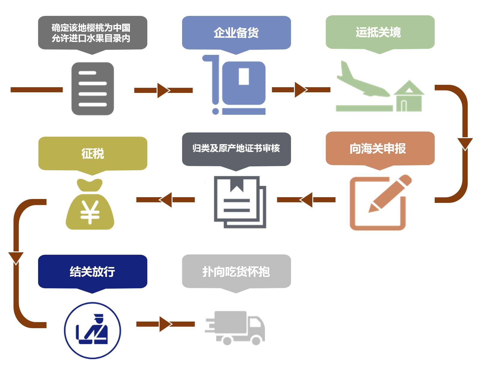 知識進口水果正當季如何報關我教你