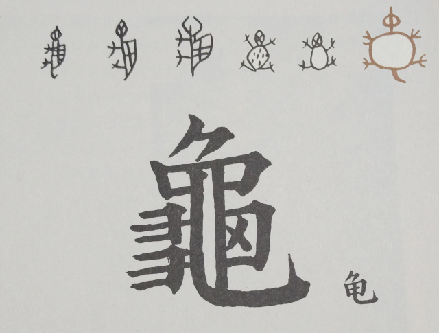 汉字王国四动物们的汉字演变之路