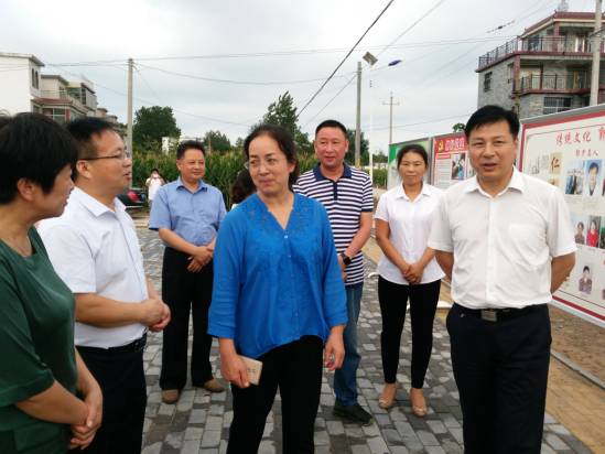 劉向軍一行先後實地深入到夏橋,謝橋,迪溝,陳橋,江口等鄉鎮對潁上縣的