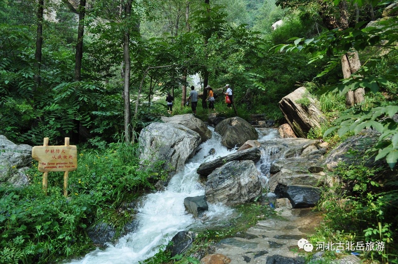 宇文玥青虛山之旅,不虛此行,似狼牙,像