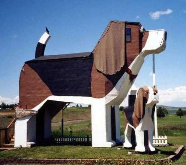 牛人造房子图片