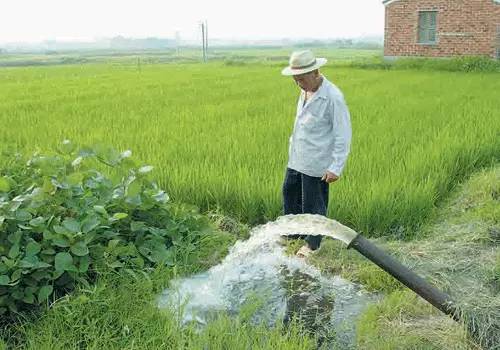 水稻排水图片图片