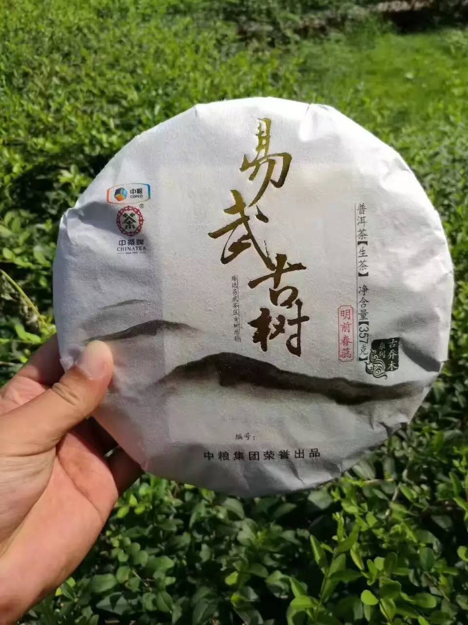 中茶普洱北京微茶會(第180期)-古喬木系列《易武古樹》