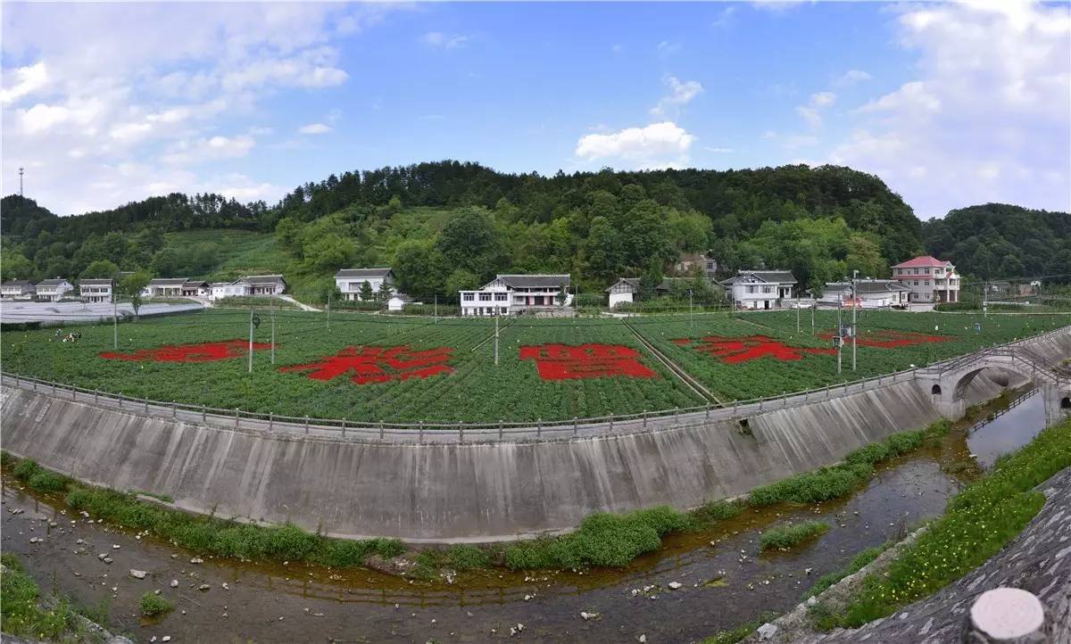 朝天区多彩曾家山图片