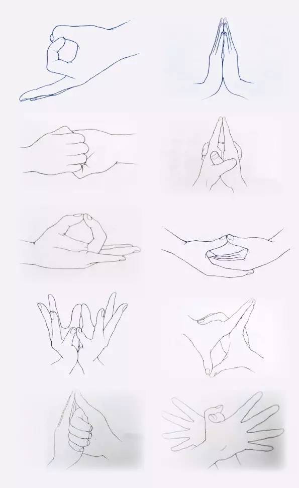 25个瑜伽手印 手势图片